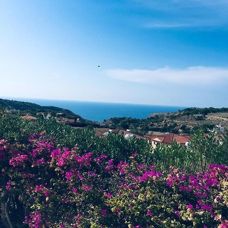 Pissouri Villa Miramar Bagian luar foto