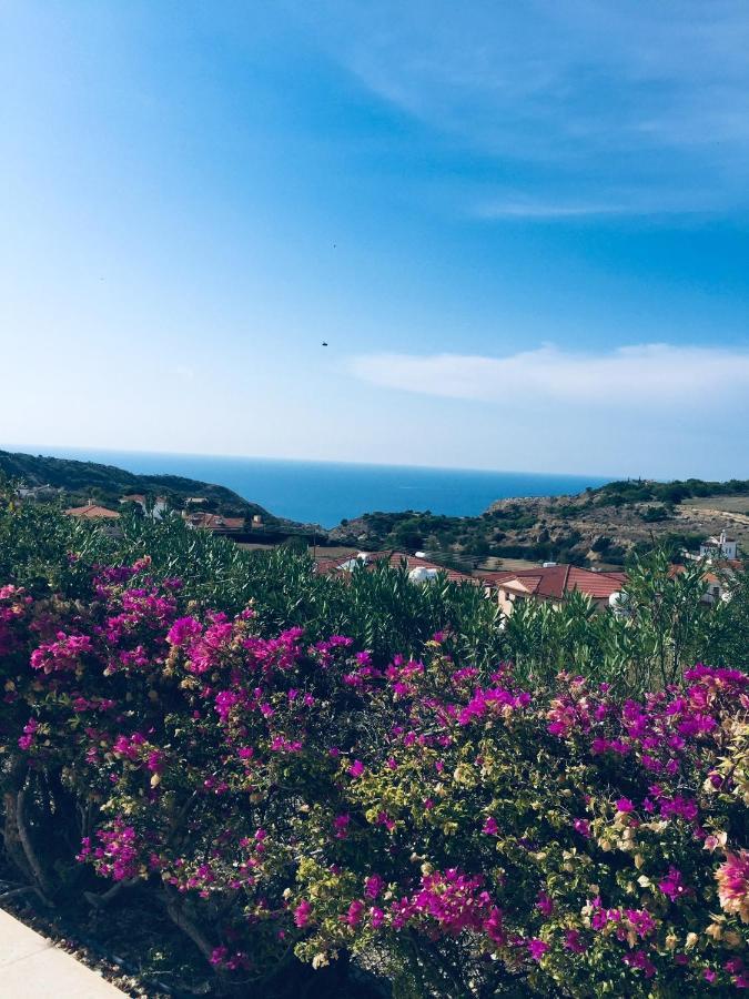Pissouri Villa Miramar Bagian luar foto